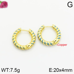Fashion Copper Earrings  F2E300338bbov-J40