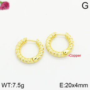 Fashion Copper Earrings  F2E300343bbov-J40