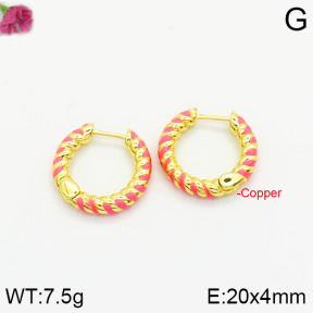Fashion Copper Earrings  F2E300344bbov-J40