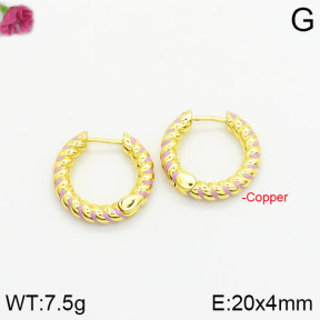 Fashion Copper Earrings  F2E300345bbov-J40