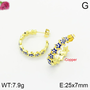 Fashion Copper Earrings  F2E300378bhva-J40