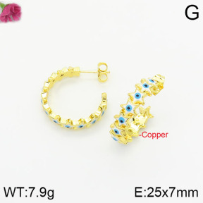 Fashion Copper Earrings  F2E300380bhva-J40