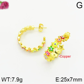 Fashion Copper Earrings  F2E300382bhva-J40