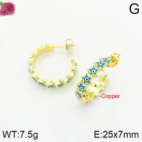 Fashion Copper Earrings  F2E300383bhva-J40