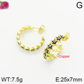 Fashion Copper Earrings  F2E300384bhva-J40