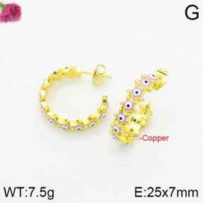 Fashion Copper Earrings  F2E300386bhva-J40