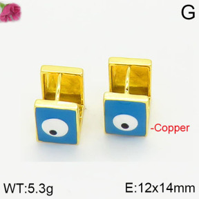 Fashion Copper Earrings  F2E300391vbnb-J40