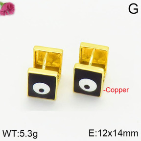 Fashion Copper Earrings  F2E300394vbnb-J40