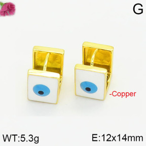 Fashion Copper Earrings  F2E300395vbnb-J40