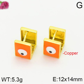 Fashion Copper Earrings  F2E300396vbnb-J40