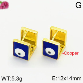 Fashion Copper Earrings  F2E300398vbnb-J40