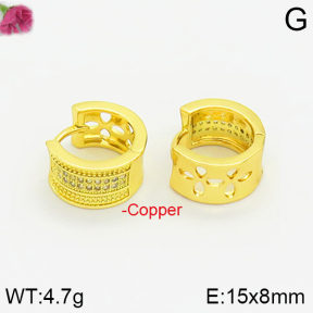 Fashion Copper Earrings  F2E400913bhva-J40