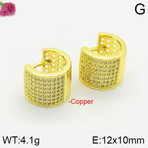 Fashion Copper Earrings  F2E400921vhmv-J40