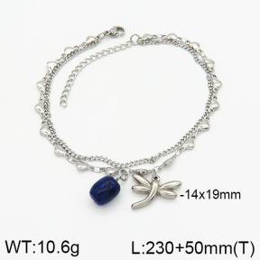 Stainless Steel Anklets  2A9000839ahjb-656