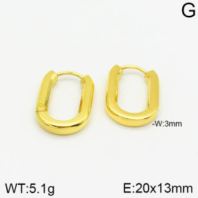 Stainless Steel Earrings  2E2001557ahlv-323