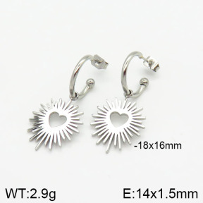Stainless Steel Earrings  2E2001559vbnb-259