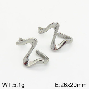 Stainless Steel Earrings  2E2001561bbov-259