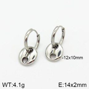 Stainless Steel Earrings  2E2001562ablb-259