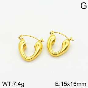 Stainless Steel Earrings  2E2001565bhva-259