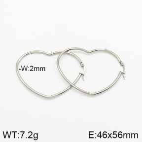 Stainless Steel Earrings  2E2001568aahl-656