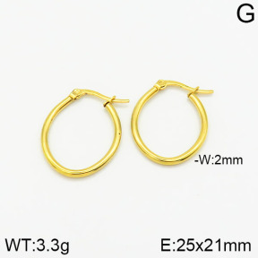 Stainless Steel Earrings  2E2001570aahm-656