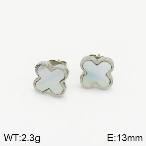 Stainless Steel Earrings  2E3001108ablb-323