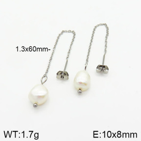 Stainless Steel Earrings  2E3001111baka-259