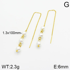 Stainless Steel Earrings  2E3001113vbmb-259