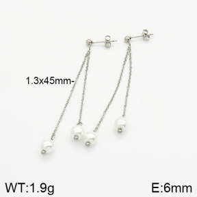 Stainless Steel Earrings  2E3001117ablb-259