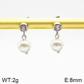 Stainless Steel Earrings  2E3001119baka-259