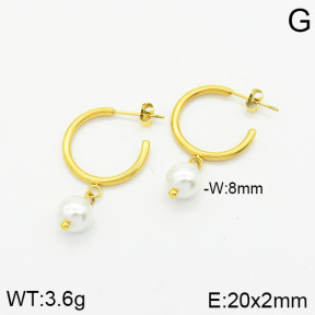 Stainless Steel Earrings  2E3001122vbmb-259