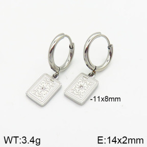 Stainless Steel Earrings  2E4001977vbmb-259