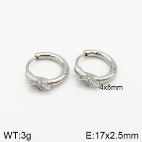 Stainless Steel Earrings  2E4001980bhia-259