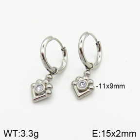 Stainless Steel Earrings  2E4001981vbnb-259