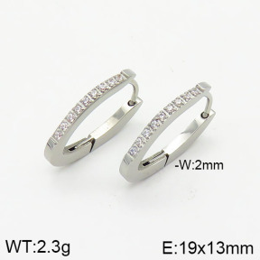 Stainless Steel Earrings  2E4001987bhia-259