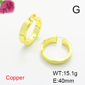 Fashion Copper Earrings  F6E200262vbnb-L017