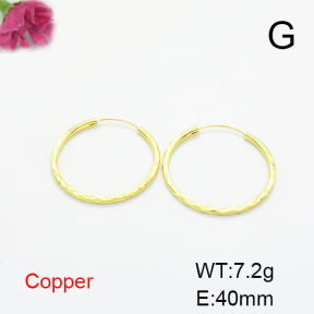 Fashion Copper Earrings  F6E200264vbmb-L017