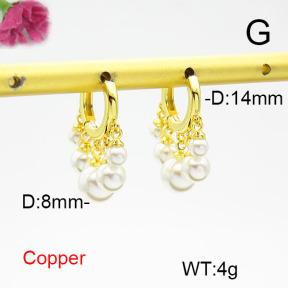 Fashion Copper Earrings  F6E301679bhia-L017