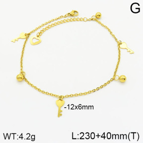 Stainless Steel Anklets  2A9000843avja-452