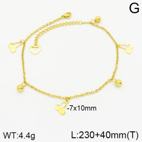 Stainless Steel Anklets  2A9000846avja-452