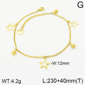 Stainless Steel Anklets  2A9000847avja-452