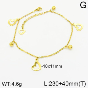 Stainless Steel Anklets  2A9000848avja-452