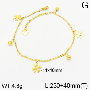 Stainless Steel Anklets  2A9000849avja-452