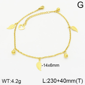 Stainless Steel Anklets  2A9000855avja-452
