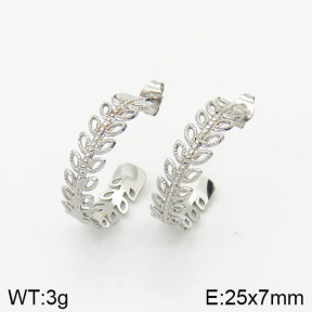 Stainless Steel Earrings  2E2001575bhbl-706