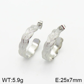 Stainless Steel Earrings  2E2001584bhbl-706