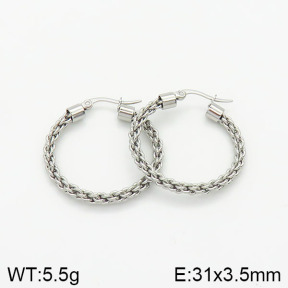 Stainless Steel Earrings  2E2001590bhbl-706