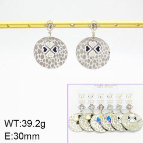 Stainless Steel Earrings  2E3001127vila-658