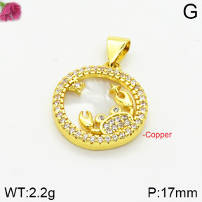 Fashion Copper Pendant  F2P400242vbmb-J111