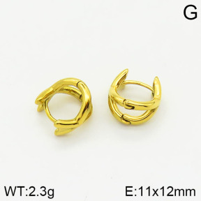 Stainless Steel Earrings  2E2001595bhia-379